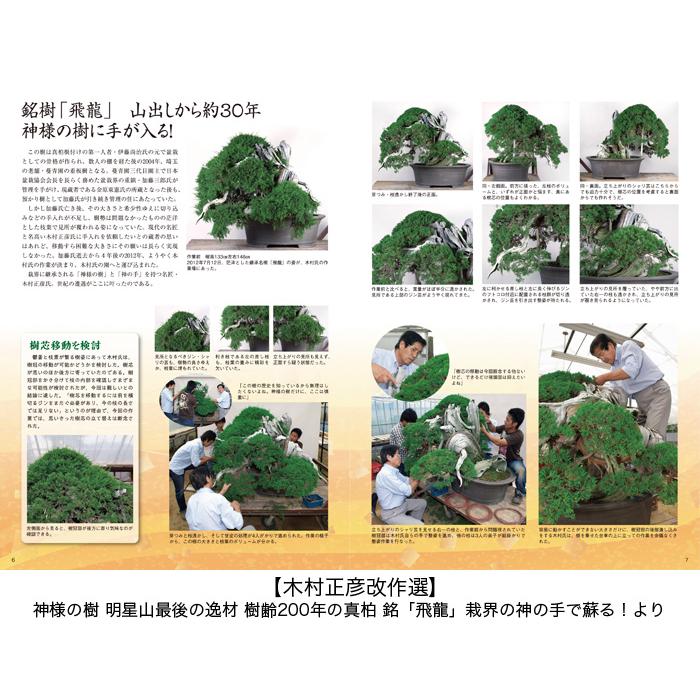書籍 本 盆栽専門誌「匠の技 盆栽技術集」 盆栽作業 実技 改作集 送料