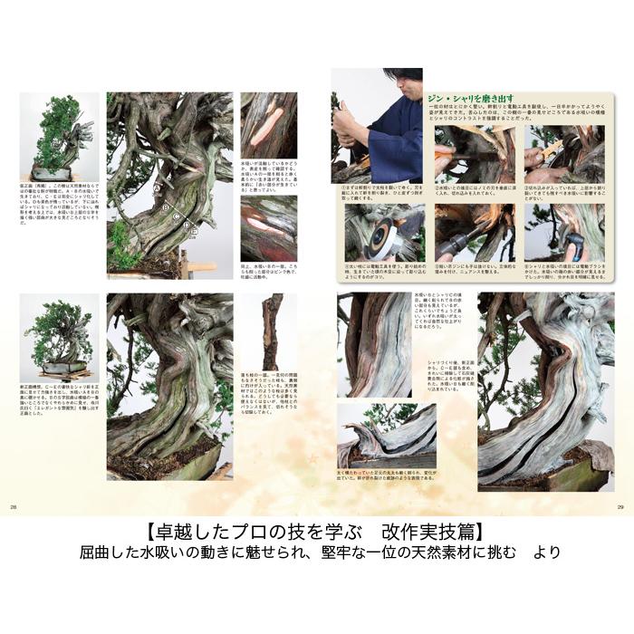 書籍 本 盆栽専門誌「匠の技 盆栽技術集」 盆栽作業 実技 改作集 送料