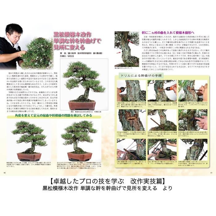 書籍 本 盆栽専門誌「匠の技 盆栽技術集」 盆栽作業 実技 改作集 送料