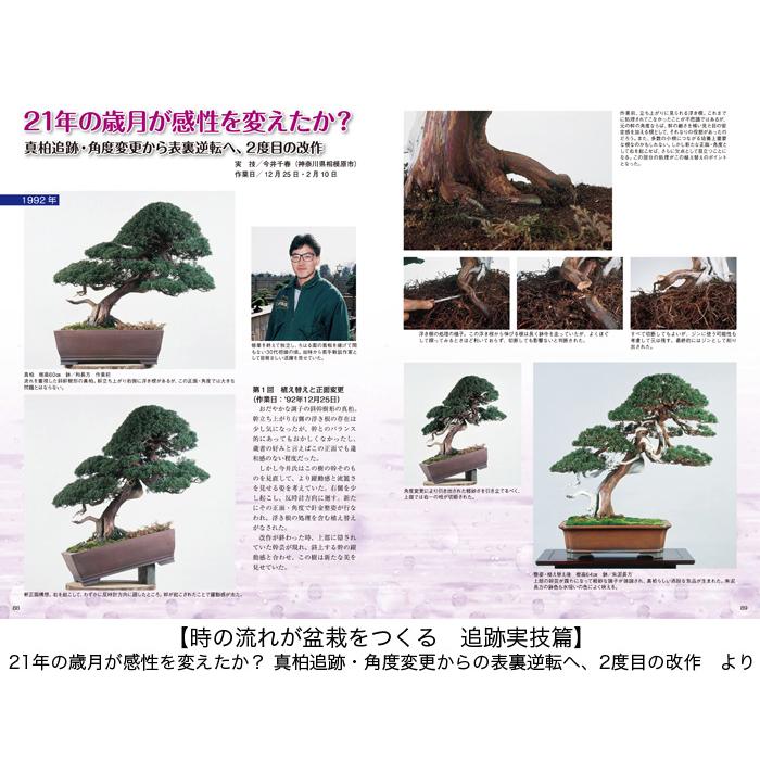 書籍 本 盆栽専門誌「匠の技 盆栽技術集」 盆栽作業 実技 改作集 送料
