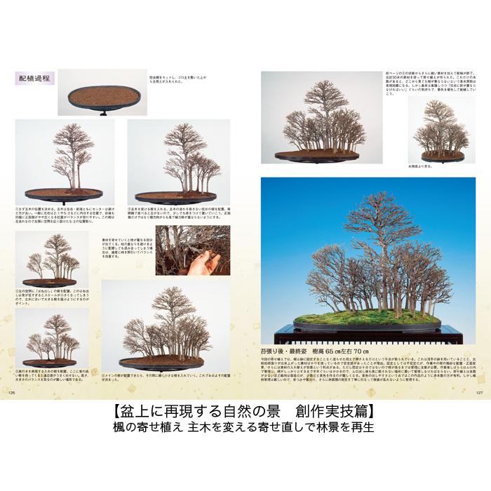 書籍 本 盆栽専門誌「匠の技 盆栽技術集」 盆栽作業 実技 改作集 送料
