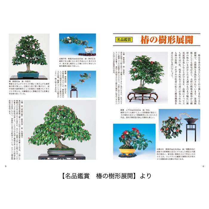 送料無料】 盆栽 育て方 本 椿・桜の育て方 （盆栽樹種別シリーズ10