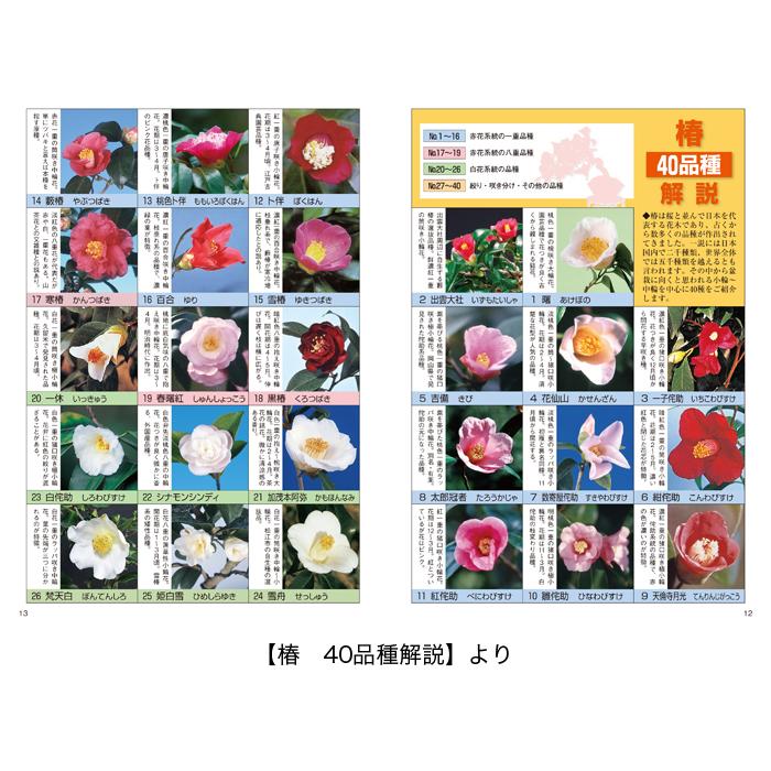 日本のサクラの種・品種マニュアル 日本のサクラの種・品種マニュアル