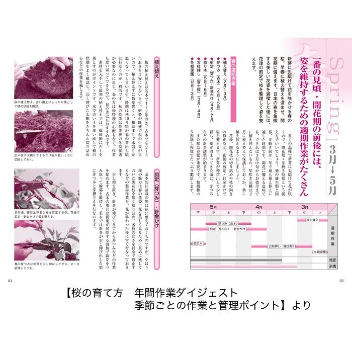 Sale 57 Off 椿 桜の育て方 Heartlandgolfpark Com