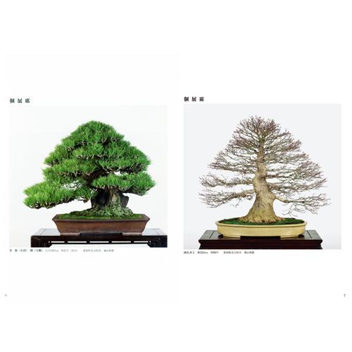 書籍 本 盆栽専門誌「第87回 銘風盆栽展 記念帳」盆栽 松柏 雑木 写真