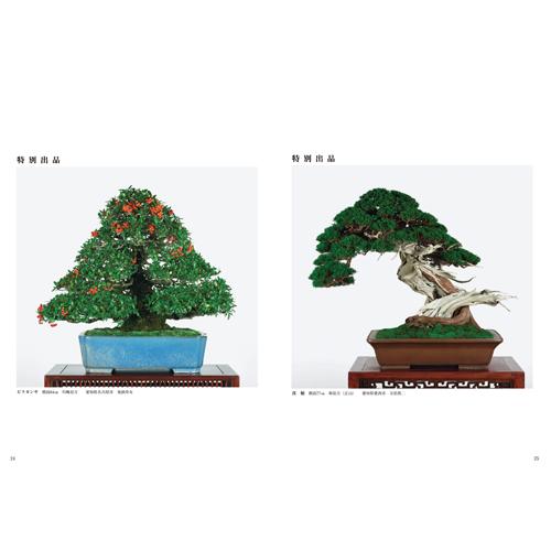 書籍 本 盆栽専門誌「第87回 銘風盆栽展 記念帳」盆栽 松柏 雑木 写真