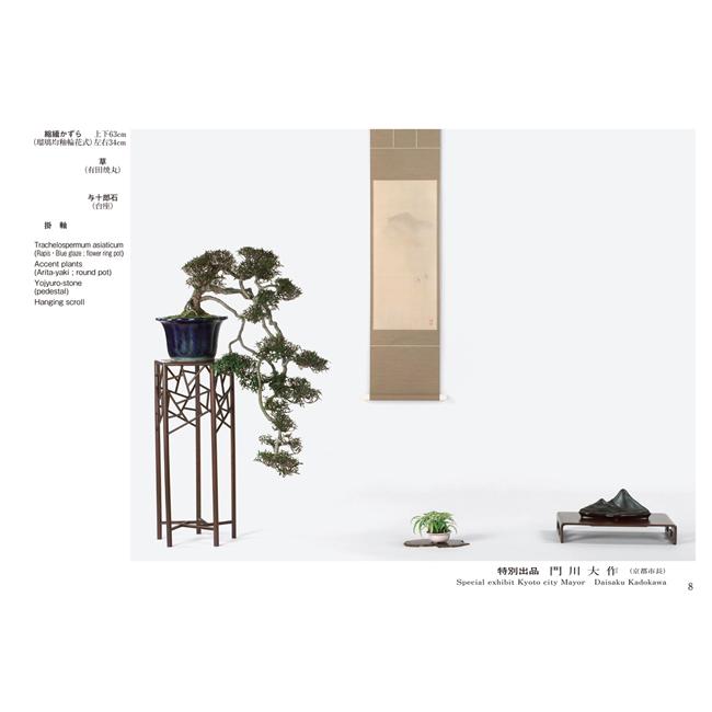書籍 本 盆栽専門誌「第45回 雅風展記念帳」 小品盆栽 ミニ盆栽 盆栽鉢