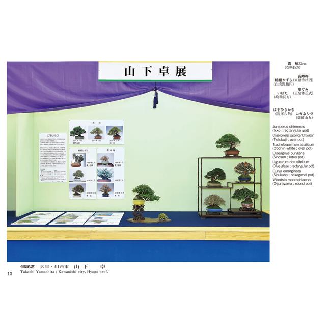書籍 本 盆栽専門誌「第45回 雅風展記念帳」 小品盆栽 ミニ盆栽 盆栽鉢