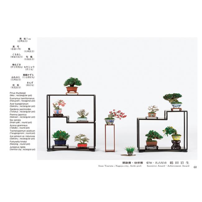 書籍 本 盆栽専門誌「第45回 雅風展記念帳」 小品盆栽 ミニ盆栽 盆栽鉢