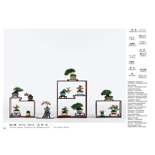 書籍 本 盆栽専門誌「第45回 雅風展記念帳」 小品盆栽 ミニ盆栽 盆栽鉢
