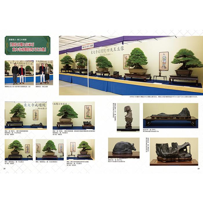 書籍 本 盆栽専門誌「第41回 日本盆栽大観展 記念帳」盆栽 松柏 雑木