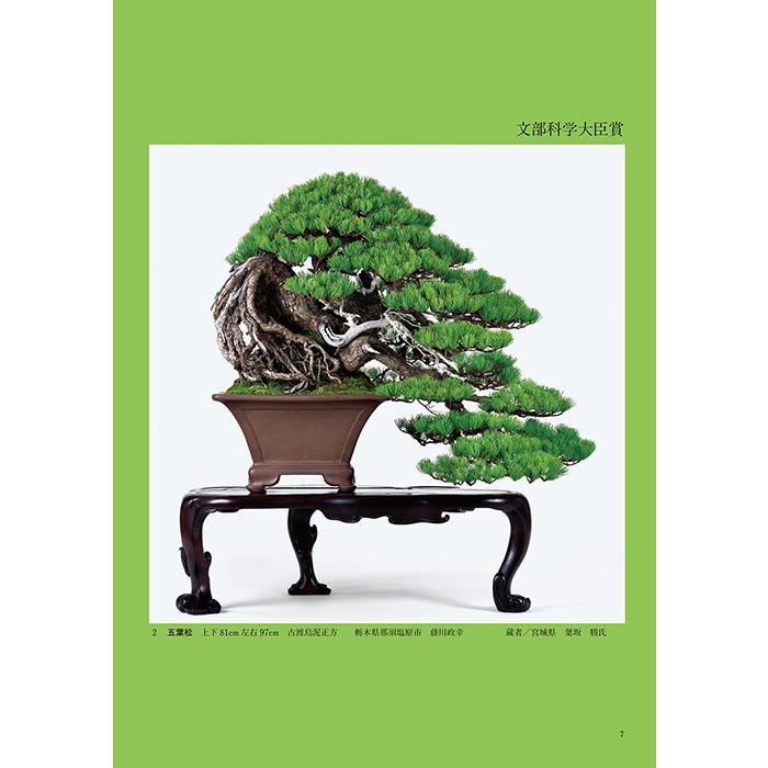 書籍 本 盆栽専門誌「第48回 日本盆栽作風展 記念帳」松柏 雑木 小品