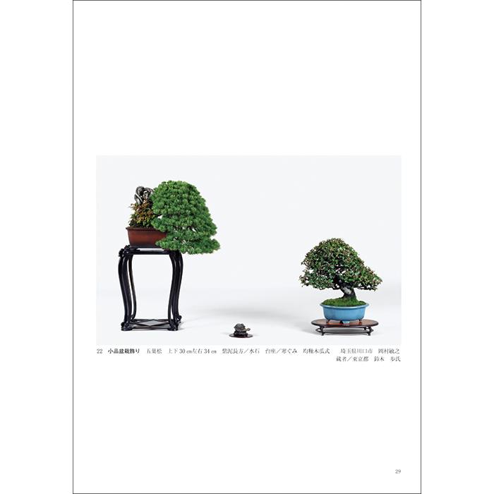 書籍 本 盆栽専門誌「第48回 日本盆栽作風展 記念帳」松柏 雑木 小品