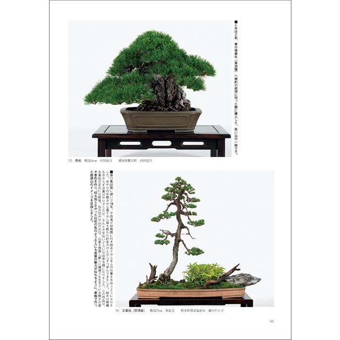書籍 本 盆栽専門誌「第48回 日本盆栽作風展 記念帳」松柏 雑木 小品