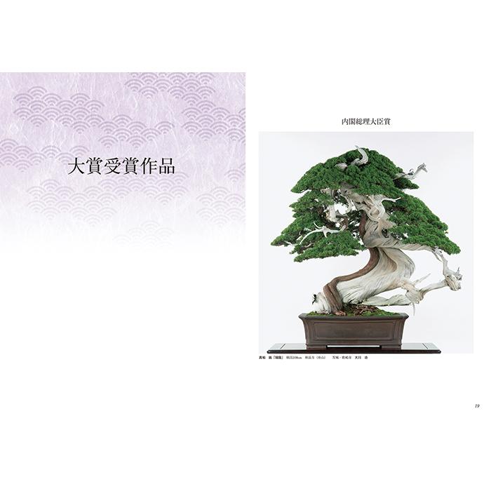 書籍 本 盆栽専門誌「第42回 日本盆栽大観展 記念帳」盆栽 松柏 雑木