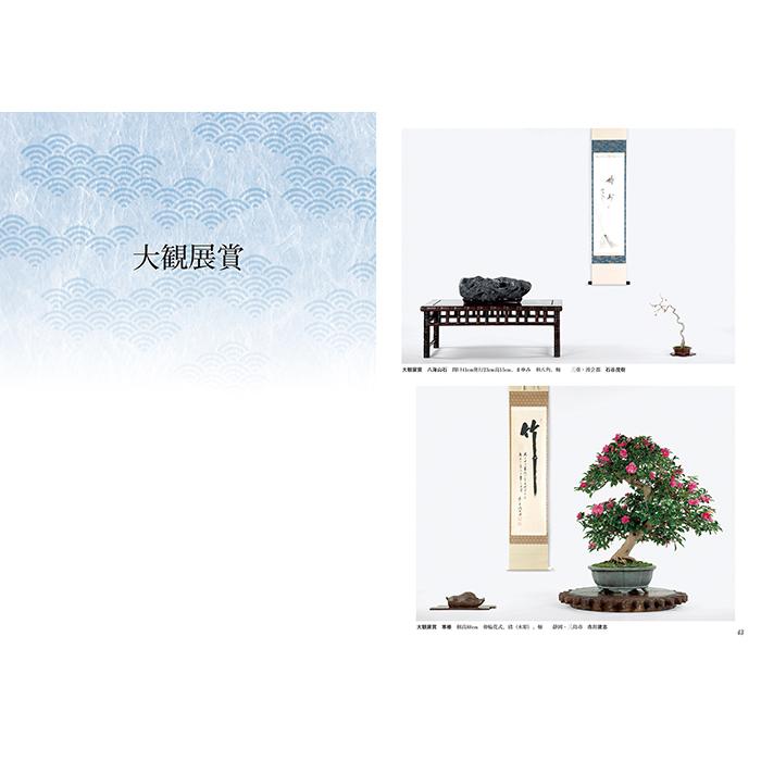 日本盆栽大観展 第八回〜十七回 計10冊 日本盆栽大観展 第八回