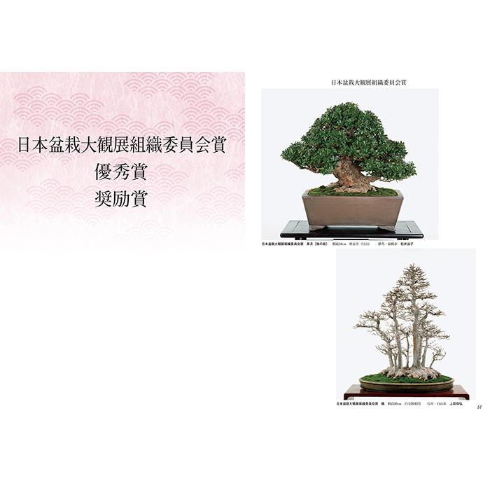 書籍 本 盆栽専門誌「第42回 日本盆栽大観展 記念帳」盆栽 松柏 雑木