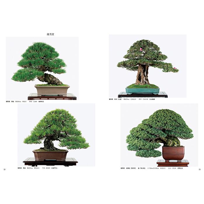 書籍 本 盆栽専門誌「第42回 日本盆栽大観展 記念帳」盆栽 松柏 雑木