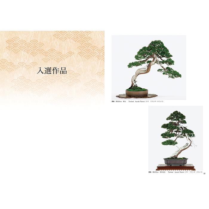 書籍 本 盆栽専門誌「第42回 日本盆栽大観展 記念帳」盆栽 松柏 雑木