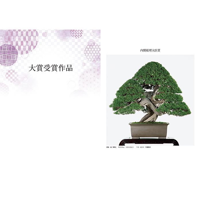 書籍 本 盆栽専門誌「第43回 日本盆栽大観展 記念帖」盆栽 松柏 雑木