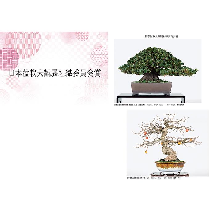 書籍 本 盆栽専門誌「第43回 日本盆栽大観展 記念帖」盆栽 松柏 雑木