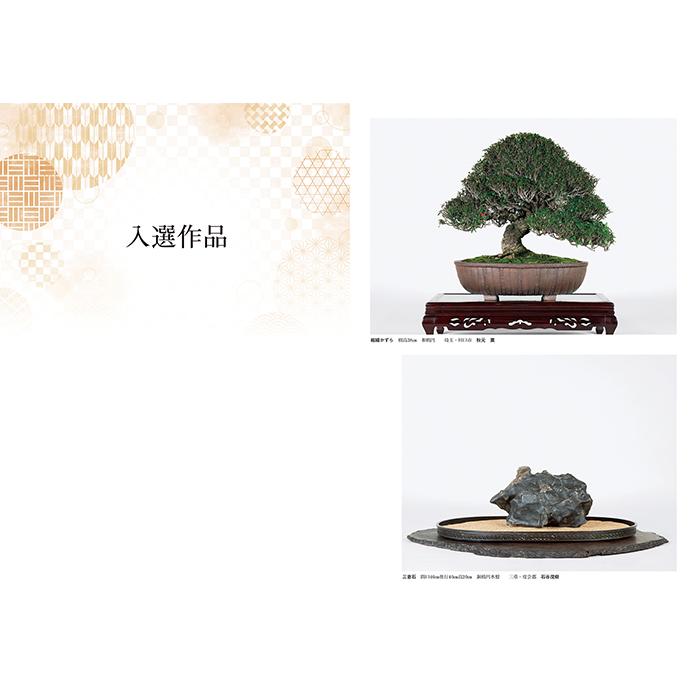 書籍 本 盆栽専門誌「第43回 日本盆栽大観展 記念帖」盆栽 松柏 雑木