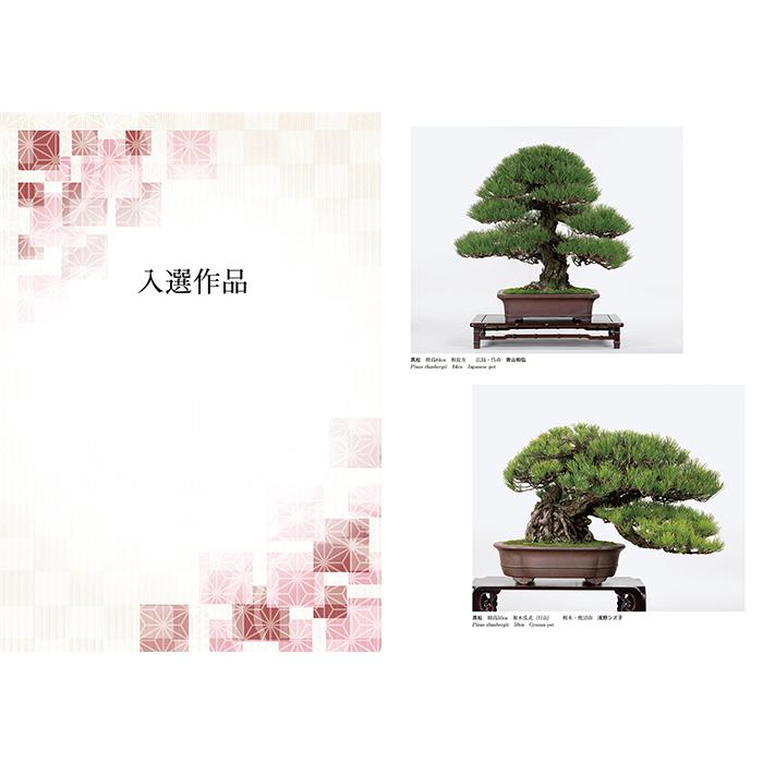 書籍 本 盆栽専門誌「第44回 日本盆栽大観展 記念帳」盆栽 松柏 雑木