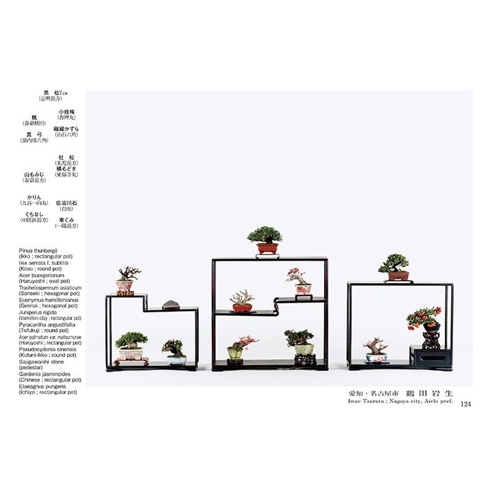 書籍 本 盆栽専門誌「第50回 雅風展記念帳」 小品盆栽 ミニ盆栽 盆栽鉢