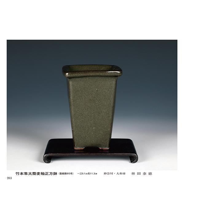 書籍 本 盆栽専門誌「第50回 雅風展記念帳」 小品盆栽 ミニ盆栽 盆栽鉢