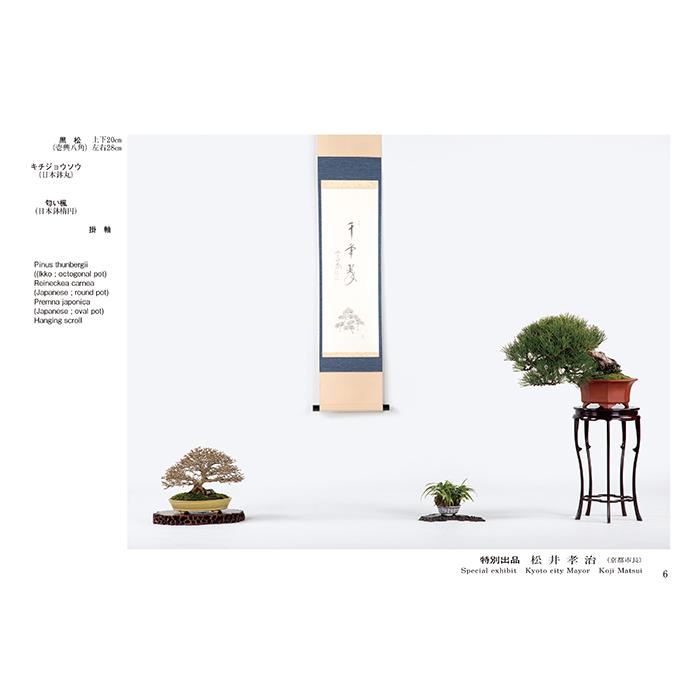 書籍 本 盆栽専門誌「第51回 雅風展記念帳」 小品盆栽 ミニ盆栽 盆栽鉢