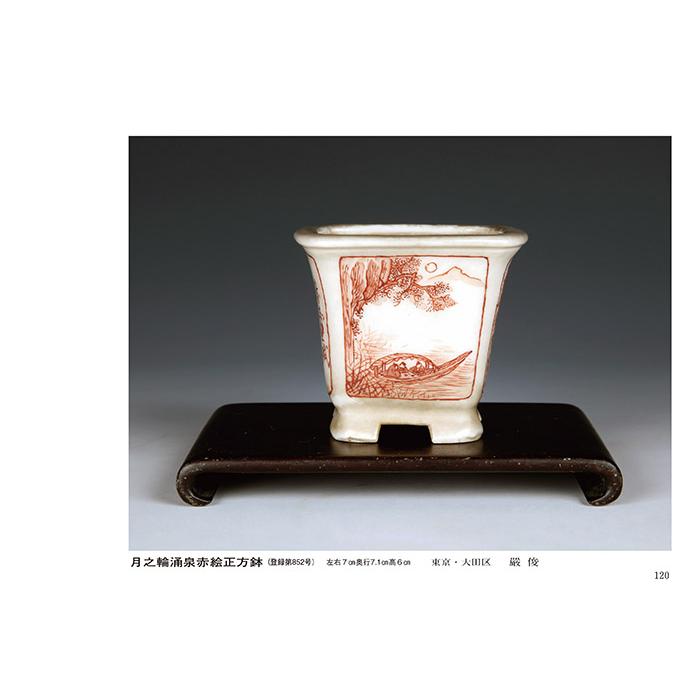 書籍 本 盆栽専門誌「第51回 雅風展記念帳」 小品盆栽 ミニ盆栽 盆栽鉢