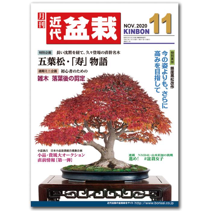 月刊「近代盆栽」2020年11月号 : 盆栽彩都ヤフー店 - 通販 - Yahoo