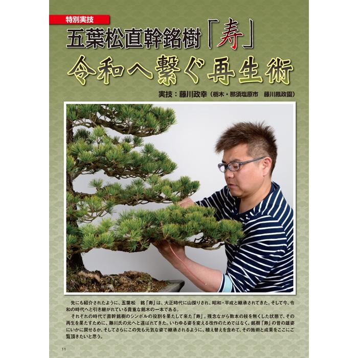 月刊「近代盆栽」2020年11月号 : 盆栽彩都ヤフー店 - 通販 - Yahoo