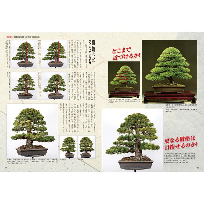 月刊「近代盆栽」2020年11月号 : 盆栽彩都ヤフー店 - 通販 - Yahoo