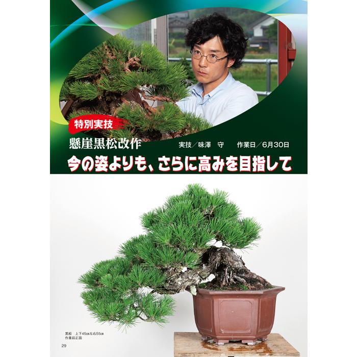 月刊「近代盆栽」2020年11月号 : 盆栽彩都ヤフー店 - 通販 - Yahoo