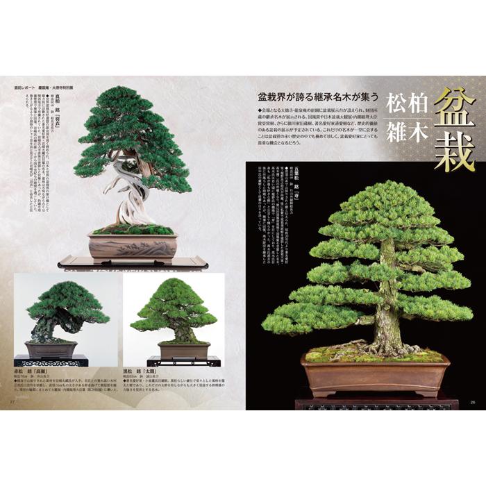 月刊「近代盆栽」2020年12月号 : 盆栽彩都ヤフー店 - 通販 - Yahoo