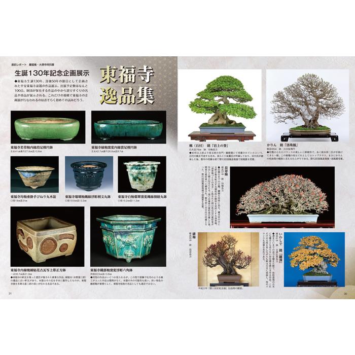 月刊「近代盆栽」2020年12月号 : 盆栽彩都ヤフー店 - 通販 - Yahoo