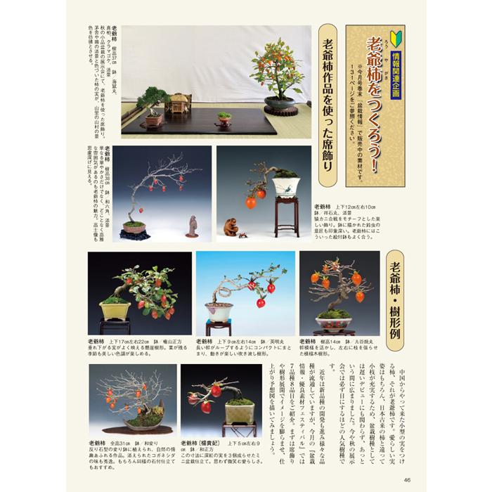 月刊「近代盆栽」2020年12月号 : 盆栽彩都ヤフー店 - 通販 - Yahoo