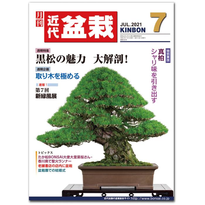 N247　近代盆栽　2012年7月号　盆栽　雑誌　趣味　専門誌 N247 近代盆栽 2012年7月号 盆栽 雑誌 趣味 専門誌