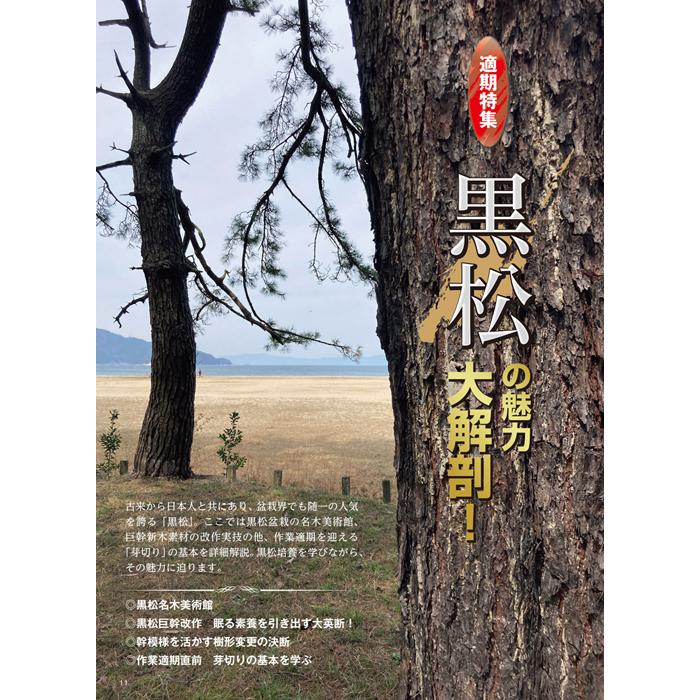 月刊「近代盆栽」2021年7月号 : 盆栽彩都ヤフー店 - 通販
