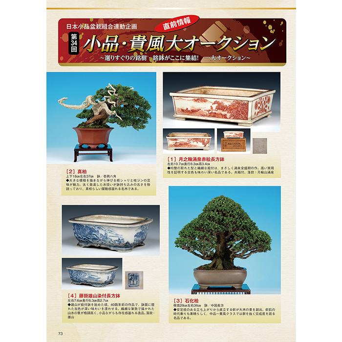 月刊「近代盆栽」2022年11月号 初心者からベテラン愛好家まで