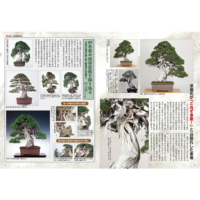 日本盆栽講座　11巻セット 日本盆栽講座 全11巻 日本盆栽講座 11巻セット 日本盆栽講座 第