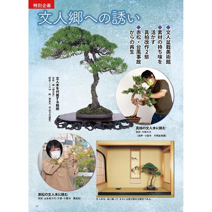 日本盆栽講座 全11巻 月刊「近代盆栽」2022年11月号 初心者からベテラン愛好家まで