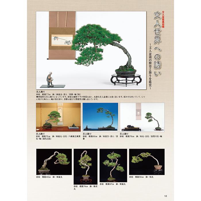 月刊「近代盆栽」2022年11月号 初心者からベテラン愛好家まで