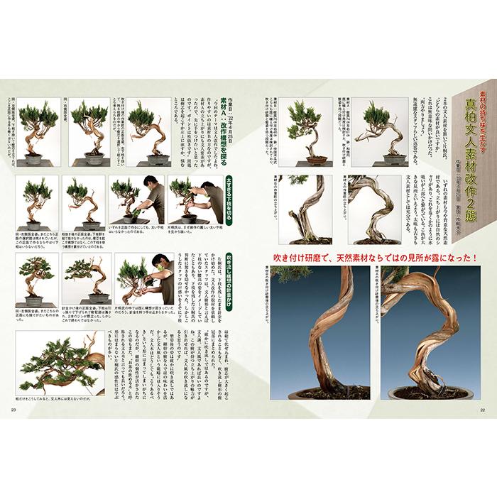 月刊「近代盆栽」2022年11月号 初心者からベテラン愛好家まで