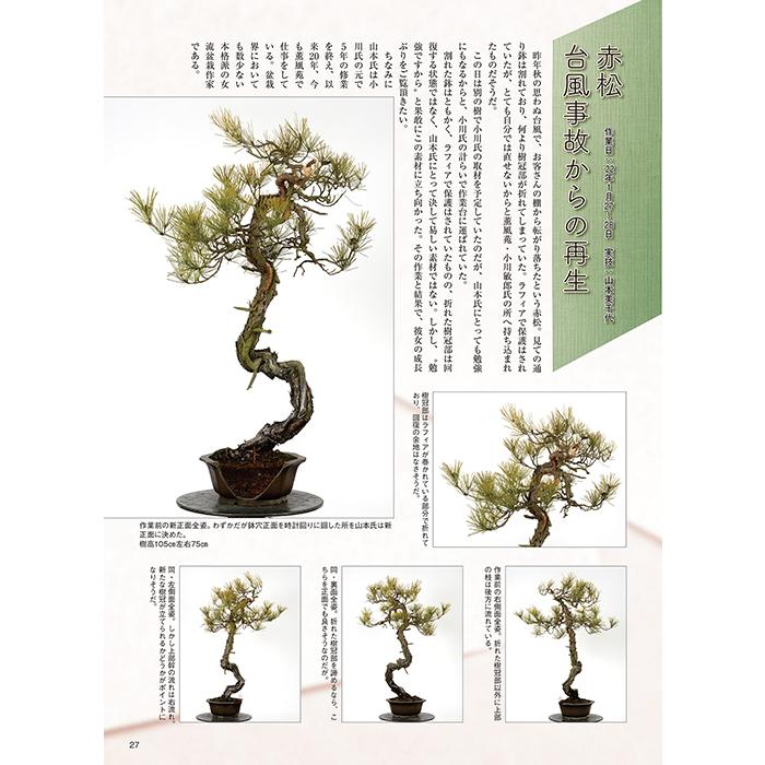 月刊「近代盆栽」2022年11月号 初心者からベテラン愛好家まで