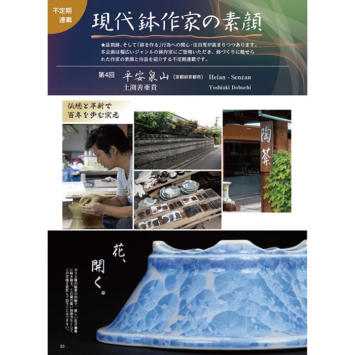 月刊「近代盆栽」2022年11月号 初心者からベテラン愛好家まで