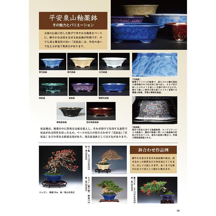 月刊「近代盆栽」2022年11月号 初心者からベテラン愛好家まで