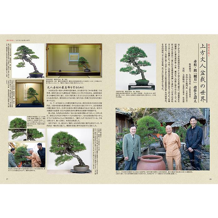 月刊「近代盆栽」2023年2月号 初心者からベテラン愛好家まで、見やすく