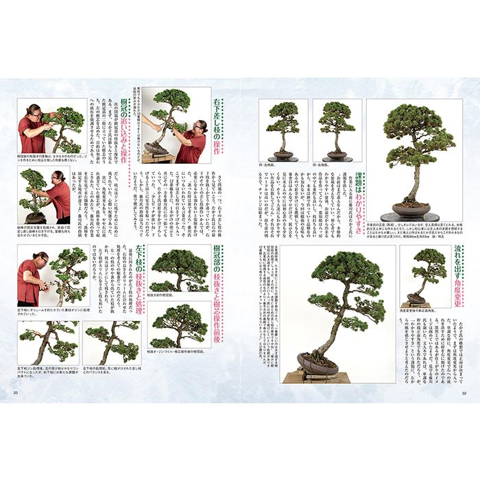 まとめてどうぞ！近代盆栽　27冊 月刊「近代盆栽」2023年2月号 初心者からベテラン愛好家まで、見やすく